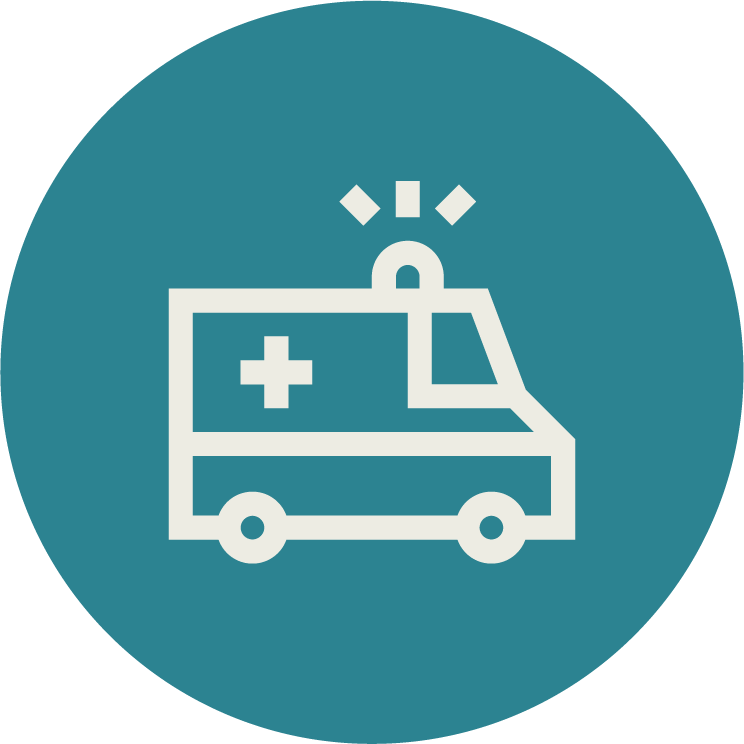 Daily nursing and assessment icon